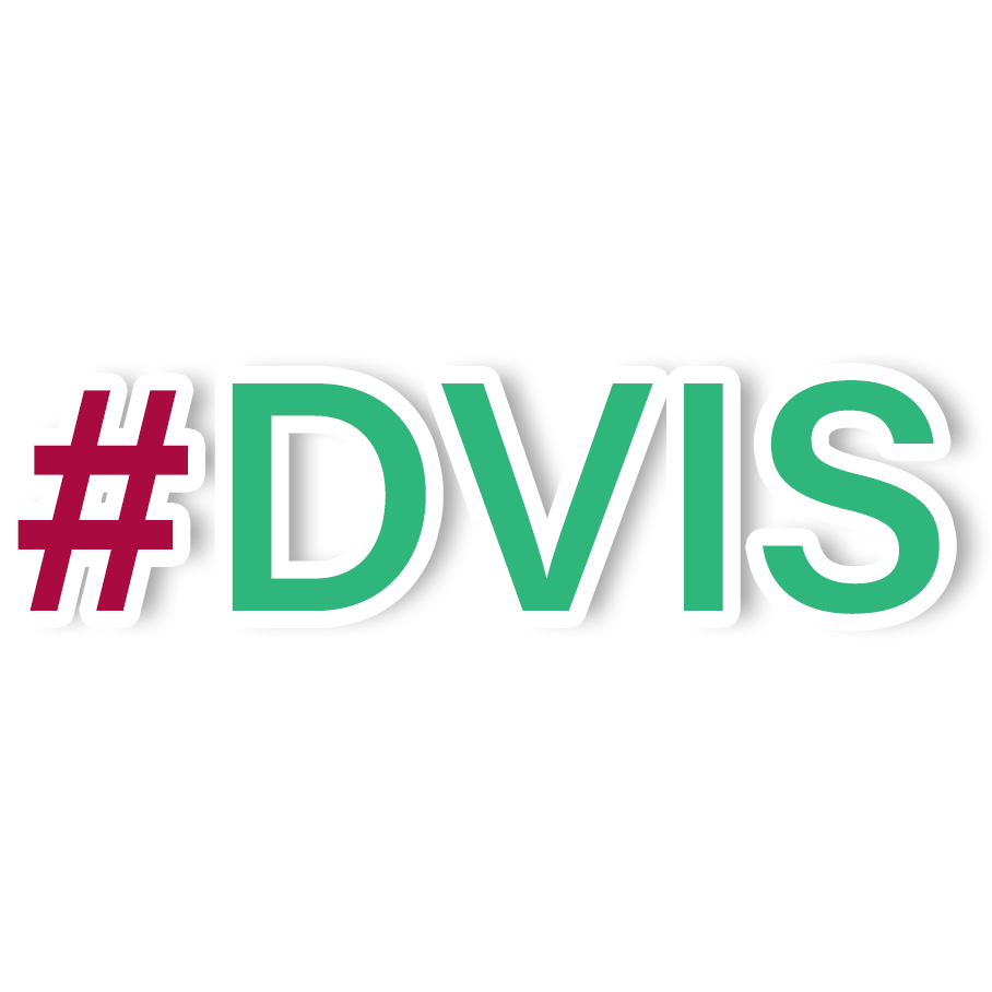 strg-S IT #DVIS