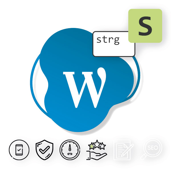 WordPress Wartungspaket Basic