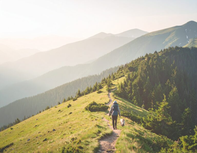 strg-S Webdesign mit Sinn Eine Person mit einem Rucksack geht an einem sonnigen Tag mit einem Hund auf einem grasbewachsenen Pfad in den Bergen spazieren, umgeben von grünen Hügeln und Bäumen. WordPress, Shopify
